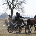 IMG_973724