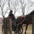 IMG_973726
