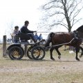 IMG_973727