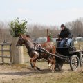 IMG_973739