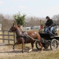 IMG_973740