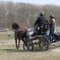IMG_973741