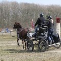 IMG_973742