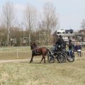 IMG_973746