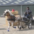 IMG_973747