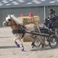 IMG_973748