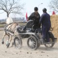 IMG_973749