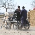 IMG_973750