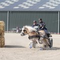 IMG_973752
