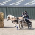 IMG_973754