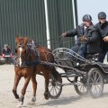 IMG_973762