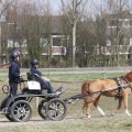 IMG_973764