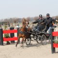 IMG_973766