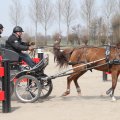 IMG_973768