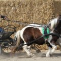 IMG_973771