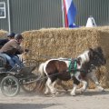 IMG_973772