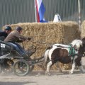 IMG_973774