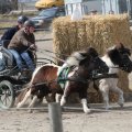 IMG_973775
