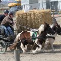 IMG_973776