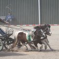 IMG_973777