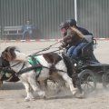 IMG_973784