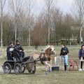 IMG_973795