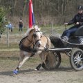 IMG_973797