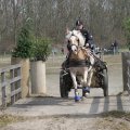 IMG_973799