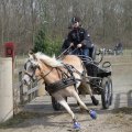 IMG_973801