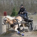 IMG_973802