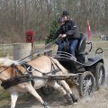 IMG_973804