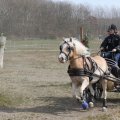 IMG_973806