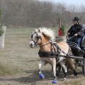 IMG_973807