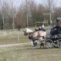 IMG_973810