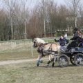 IMG_973811