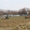 IMG_973812