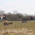 IMG_973815