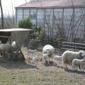 IMG_974652