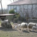 IMG_974653