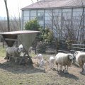 IMG_974654