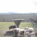 IMG_974659