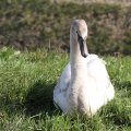 IMG_974677