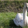 IMG_974678