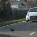IMG_974680