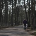 IMG_974681