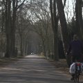 IMG_974682