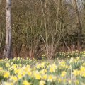 IMG_974687