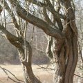 IMG_974688