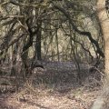 IMG_974689