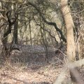 IMG_974690